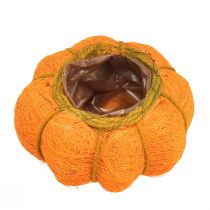 Artikel Pumpakruka orange/gulgrön tillverkad av sisal Ø15cm H9cm