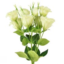 Artikel Konstgjorda blommor Eustoma Lisianthus gulgrön 52cm 5st