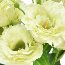 Artikel Konstgjorda blommor Eustoma Lisianthus gulgrön 52cm 5 st