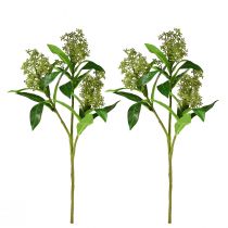 Artikel Konstgjorda blommor gröna Skimmia japonica Skimmie 45cm 2st