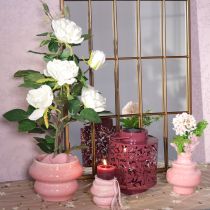 Artikel Lykta med lövmotiv, soldriven, för stämningsfull utomhusbelysning, 25 cm