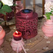 Artikel Lykta med lövmotiv, soldriven, för stämningsfull utomhusbelysning, 25 cm