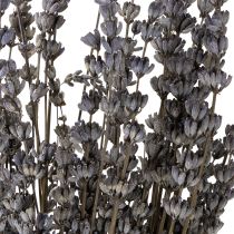 Artikel Torkad lavendel, väldoftande torkade blommor, 35-40 cm, 50 g