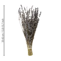 Artikel Torkad lavendel, väldoftande torkade blommor, 35-40 cm, 100 g