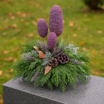 Artikel Lotuskapslar, torr blommor, lotuslök rosa, tvättad vit 50 stycken