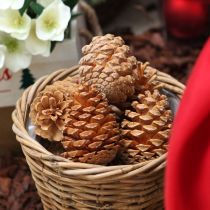 Artikel Maritima strutar grädde-vanilj blandade 5-18cm 25 st