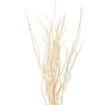 Artikel Mitsumata grenar vita 34-60cm 12 st