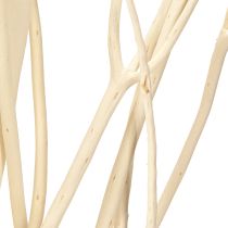 Artikel Mitsumata grenar vita 34-60cm 12 st