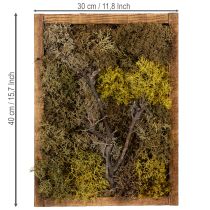 Artikel Mossbild, riktig mossbild med ram, konserverad, 40×30 cm