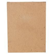 Artikel Mossbild, riktig mossbild med ram, konserverad, 40×30 cm