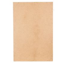 Artikel Mossbild, äkta konserverad mossa och kvistar, naturlig, 60×40 cm