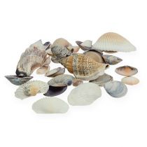 Artikel Naturlig musselmix 400g
