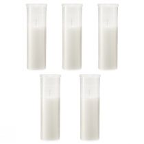 Artikel Påfyllningsljus för gravljus vit 84h H17cm 5 st