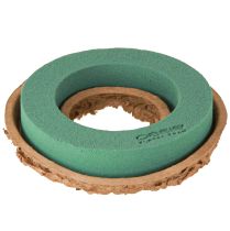 Artikel OASIS® Biolit® Ring/Krans 17cm 6 st
