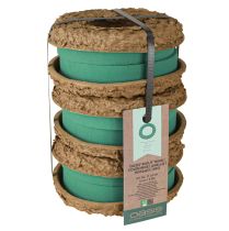 Artikel OASIS® Biolit® Ring/Krans 17cm 6 st