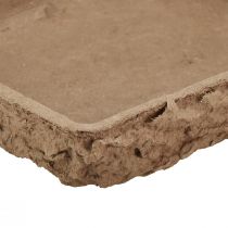 Artikel Oasis Biolit underlag för 2 blommiga skumplattor 48×13×2cm 7 st