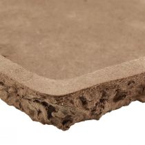 Artikel Oasis Biolit underlag för blommiga skumtegelstenar 25×14×2cm 11 st