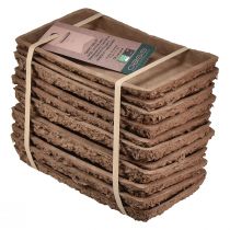 Artikel Oasis Biolit bas för blommiga skumklossar 25×14×2 cm, 11 stycken - Hållbara blomsterarrangemang, blomstertillbehör