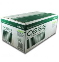 Artikel OASIS® Plug-in moss maxlife Standard 20 tegelstenar