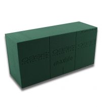 Artikel OASIS® Plug-in moss maxlife Standard 20 tegelstenar