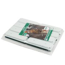 Artikel OASIS® Bord Deco medi 25cm x 9cm x 5cm 8 st