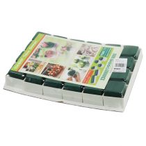 Artikel OASIS® Bordsdesign 6cm Neo &amp; Viva 24 st