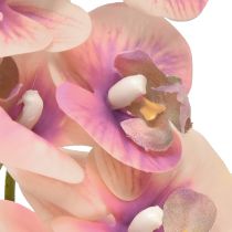 Artikel Orkidé Phalaenopsis konstgjord 7 blommor lila kräm 73cm