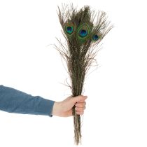 Artikel Påfågelfjädrar, riktiga fågelfjädrar för pyssel och dekoration, 55 cm, 10 stycken