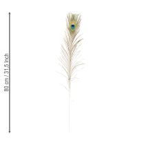 Artikel Påfågelfjädrar dekoration riktiga fågelfjädrar långa 75-85cm 8 stycken