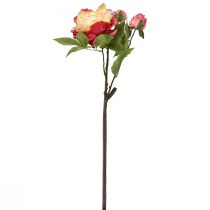 Artikel Pioner Siden Blommor Konstgjorda Blommor Rosa Gul 68cm