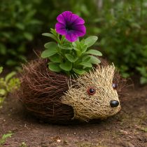 Artikel Igelkottplanter gjord av vinrankor 22 cm x 25 cm