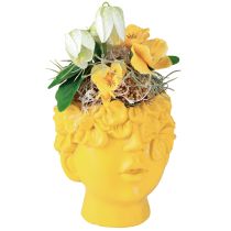 Artikel Planthuvud byst polyresin planter gul 13,5×13×14cm