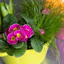 Artikel Plåtplanter, vårdekoration för vardagsrummet, 25 cm, 3 stycken