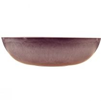 Artikel Elegant lila plastskål 37x10,5 cm - mångsidig för dekoration - 3 stycken