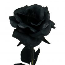 Artikel Rose Silk Flower Svart 63cm