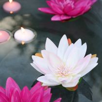 Artikel Flytande näckrosor konstgjorda bordsdekorationer vita, rosa Ø15cm 2 st