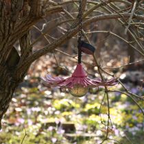 Artikel Solar LED Blomsterträdgårdslampa LED Metall Rosa Ø30cm