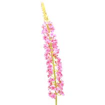 Artikel Stäppljus Desert Tail Rosa 106cm