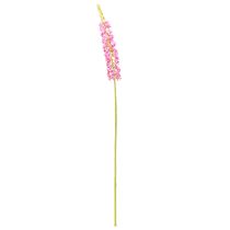 Artikel Stäppljus Desert Tail Rosa 106cm