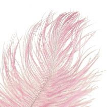 Artikel Strutsfjädrar Äkta fjädrar Dekoration Rosa 20-25cm 12 st