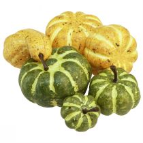 Artikel Strödekoration höstdekoration pumpor gulgröna Ø2–4,5cm 12 st