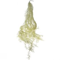 Artikel Tillandsia dekorativ hängande Tillandsia konstgrön vit 180cm