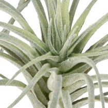 Artikel Tillandsia suckulenta konstgjorda gröna växter 13cm