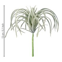 Artikel Tillandsia suckulenta konstgjorda gröna växter 13cm