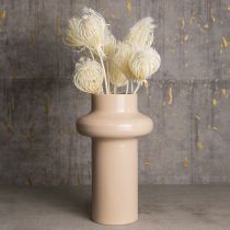 Artikel Torkade blommor blekta fänkålskrämer 45 cm knippe 10 st