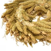Artikel Dekorativ torkad krans med teasels och hirs i gul-olivgrönt, naturlig lantlig stil, Ø28cm, mångsidig vägg- och bordsdekoration