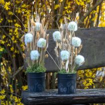 Artikel Blomkruka Maskros Svart Ø15,5cm H15,5cm