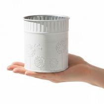 Artikel Maskrosblomkruka, vit, Ø9,5 cm, H11 cm