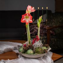 Artikel Julkulor glas grönguld glaskulor Ø7cm 6 st
