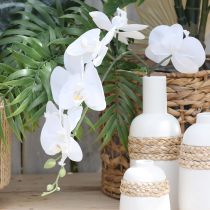 Artikel Vit orkidé konstgjord phalaenopsis Real Touch H83cm